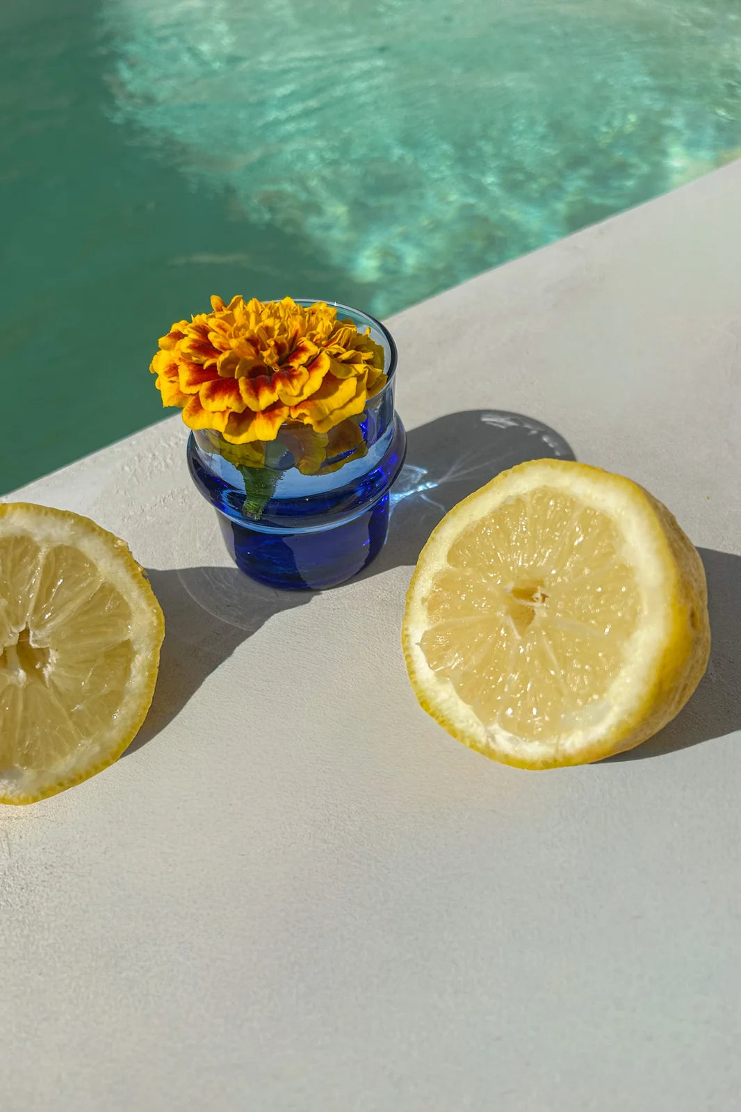 Nature morte solaire — citrons et fleur au bord de la piscine